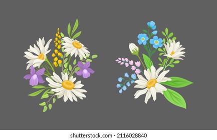 Set of bouquets of chamomiles and wildflowers. Wild blooming meadow flowers, decorative floral element vector illustration