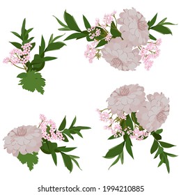 Se organizan ramas y crisantemos en un fondo blanco aislado. Ilustración botánica vectorial vintage. Diseño para tarjetas de boda y cumpleaños de felicitación.