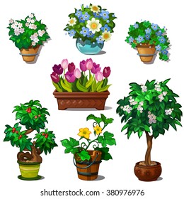 A set of bouquets of flowers. Trees bonsai for landscaping and modern interior of the fashion room. Vector illustration.