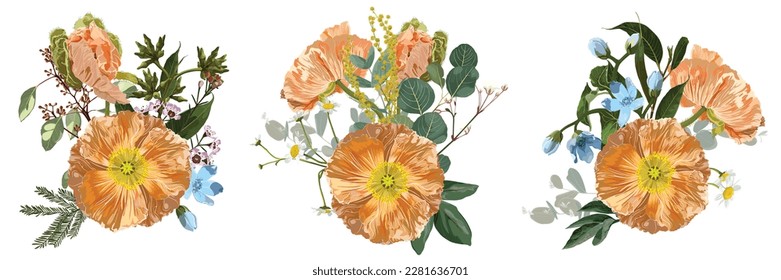 Ropa de amapola naranja, azul y blanca, azul, flores olvidadas, eucaliptos aislados en un fondo blanco. 
