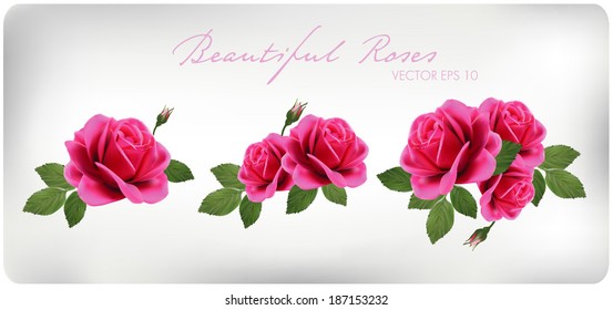 Set of bouquets of roses, can be used as creating card, invitation card for wedding, birthday and other holiday and  summer background
