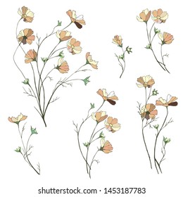 A set of bouquets of small daisies on a white background. Hand-drawn spring flowers.