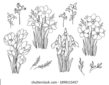 Set of bouquets of spring flowers. Line art. Vector graphics. Isolated elements.