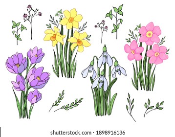 Set of bouquets of spring flowers. Line art. Vector graphics. Isolated elements.
