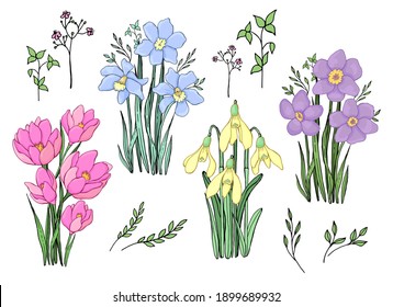 Conjunto de ramos de flores primaverales. Gráficos vectoriales. Elementos aislados.