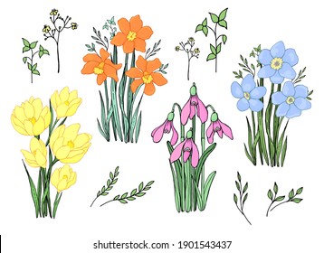 Set of bouquets of spring flowers. Line art. Vector graphics. Isolated elements.