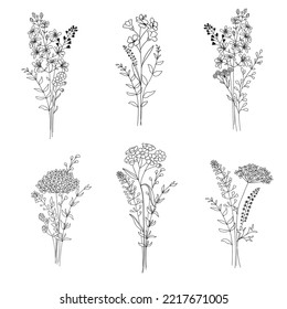  A set of bouquets of wild flowers. Botanical clip art. Wildflowers wreath skethc.Vector  Line drawn leaves and branches.Vector flowers. Floral decor.