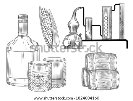 Set of bourbon. Glass and bottle, corn, barrel, alembic, ice. Engraving vintage style vector illustration.