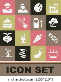 Set Bowl of hot soup, Winter scarf, Kite, Chestnut, Meteorology thermometer, hat, Mushroom and Jar honey and dipper stick icon. Vector