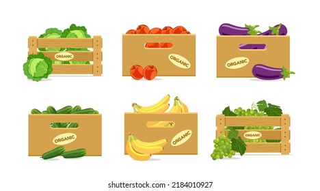 Set of boxes with fruits and vegetables. With cabbage, apples, eggplants, cucumbers, bananas, grapes. Vector illustration isolated on white background.