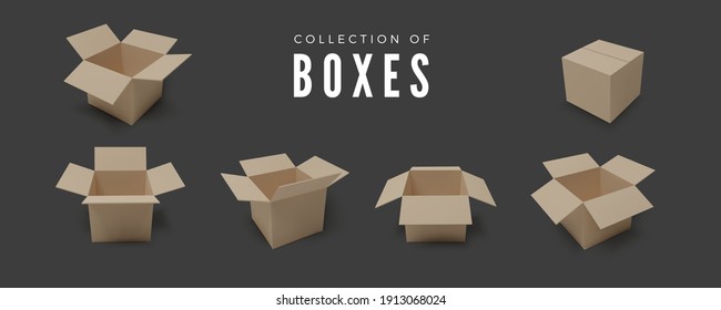 Conjunto de cuadros. Colección de color realista del paquete. Vector 