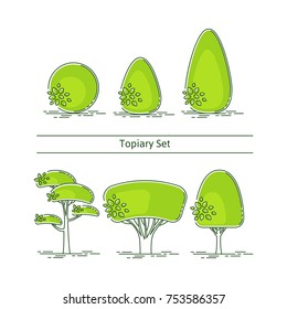 A set of boxwood topiary of different forms. Vector illustration in modern style