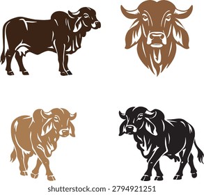Set of brahman cattle illustrations, vector icons of zebu cows in different poses