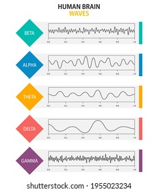 Set of brain waves oscillation. Beta, alpha, theta, delta, gamma brain waves. Human rhythm, types, amplitude of mind waves. Vector illustration.