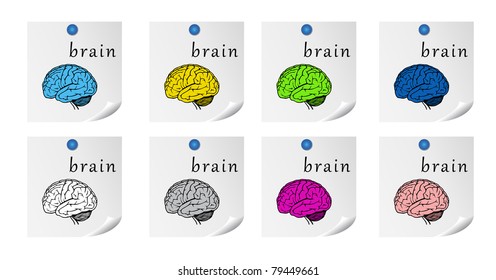 set of brains on list of paper