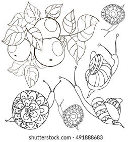Set with a branch of apple snails.Black and white illustration in cartoon style. Sketch for coloring book page with doodle elements.
