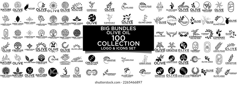 Set of branch collection olive tree. Black and white outline silhouette. Vector illustration.