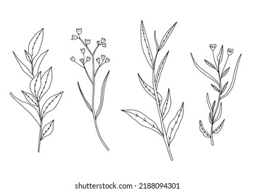 Set of branch elements with leaves in doodle style. Hand drawn vector illustration.