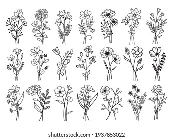 Set of branch flower. Collection of flowering plant with leaves. Set of wild flower. Botanical. Vector illustration or natural elements on white background.