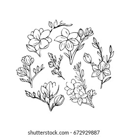 Set Branch with flowers on white background vector illustration. Doodle style. Design icon, print, logo, poster, symbol, decor, textile, paper, card. 