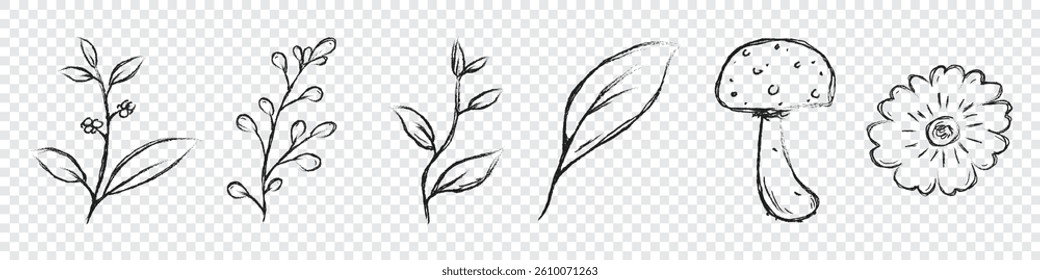 Set of branch with green leaves hand drawn illustration. Floral elements design. Hand drawn botanical illustration