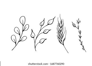 Set of branch with leaves and buds isolated on a white background. Vector doodle illustration. Sketch.  Line style