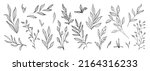 Set of branch and leaves collection. Floral hand drawn vintage set. Sketch line art illustration. Element design for greeting cards and invitations of the wedding, birthday