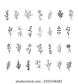 Set of branch and leaves collection. Floral hand drawn vintage set. Sketch line art illustration. Element design for greeting cards and invitations of the wedding, birthday