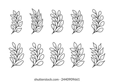Set of branch and leaves collection. Floral hand drawn vintage set