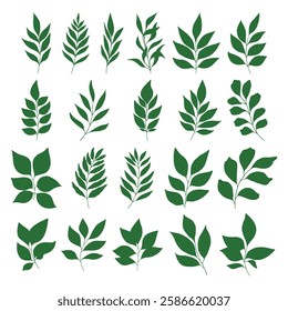 Set of branch and leaves vector