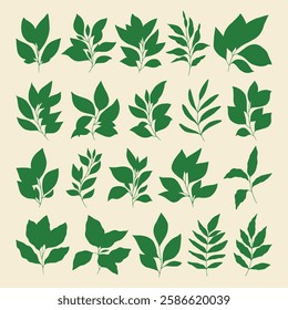 Set of branch and leaves vector