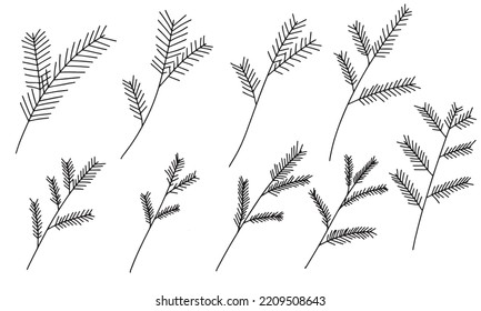 Set of branch of spruce. Hand draw Christmas elements doodle style. Vector illustration 