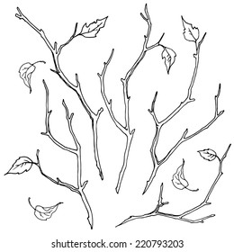 Set of branches. Autumn branches and leaves, hand-drawn design elements.