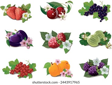 Set branches berries and leaves: cherry, rose, strawberry, acai, raspberry, juniper, cranberry, cloudberry, blueberries, goji, acerola, blackberries, currants, honeysuckle. Vector flat icon isolated