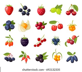 Set branches berries and leaves: cherry, rose, strawberry, acai, raspberry, juniper, cranberry, cloudberry, blueberries, goji, acerola, blackberries, currants, honeysuckle. Vector flat icon isolated