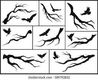 set of branches and birds on white background