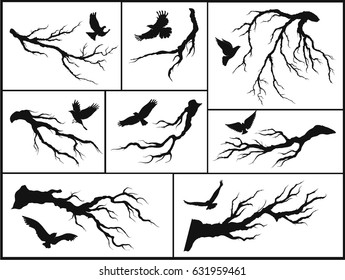 set of branches and birds on white background