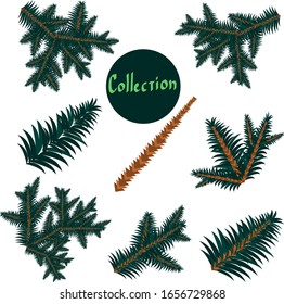 Set of branches from a Christmas tree. Build it yourself. Christmas tree, green needles. For the design of postcards, magazines, packers, websites, posters.