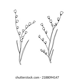 Set of branches in doodle style. Hand drawn vector illustration.