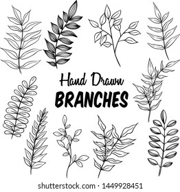 Set of Branches or Floral Hand Drawn on White Background