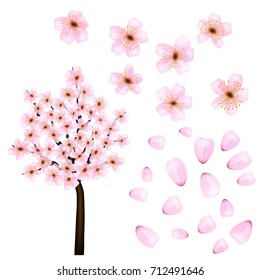 Set with branches, flowers and cherry petals on a white background for festive decoration. Vector illustration