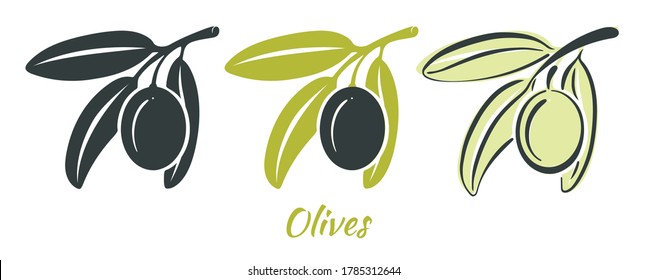 Conjunto de ramas con aceitunas verdes y negras. Ilustración de aceitunas. Aceitunas vectoriales. Contorno, silueta de aceitunas.