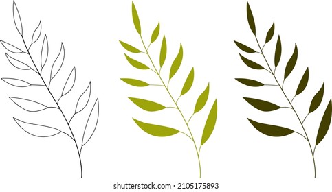 A set of branches and green flower stems, outdoor plants. Lush foliage to decorate a festive botanical ornament.