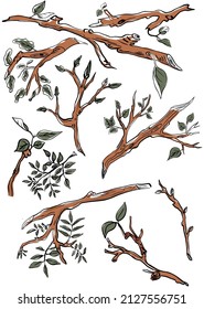 Un conjunto de ramas con hojas y brotes verdes. Imprimir para afiche de primavera y caricatura de fondo