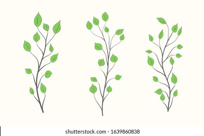 Set of branches with green leaves of different shapes and sizes on a light background
