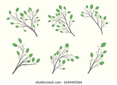 Set of branches with green leaves of different shapes and orange berries on a light background