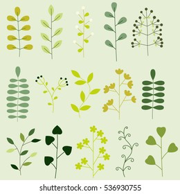Set of branches and herbs. Vector illustration.