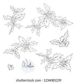Set with branches of holly.  Outline hand drawing vector illustration. Isolated on white background.

