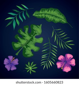 set of branches with leafs and flowers vector illustration design
