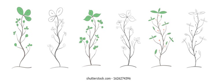 Set of branches with leaves and berries of various colors and shapes, two options, color and black and white on a white background